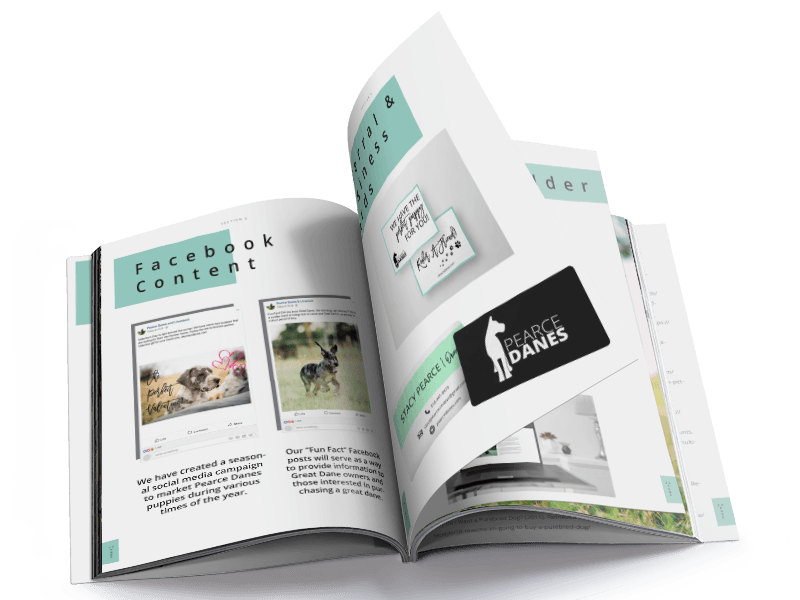 Pearce Danes Campaign Plan Book