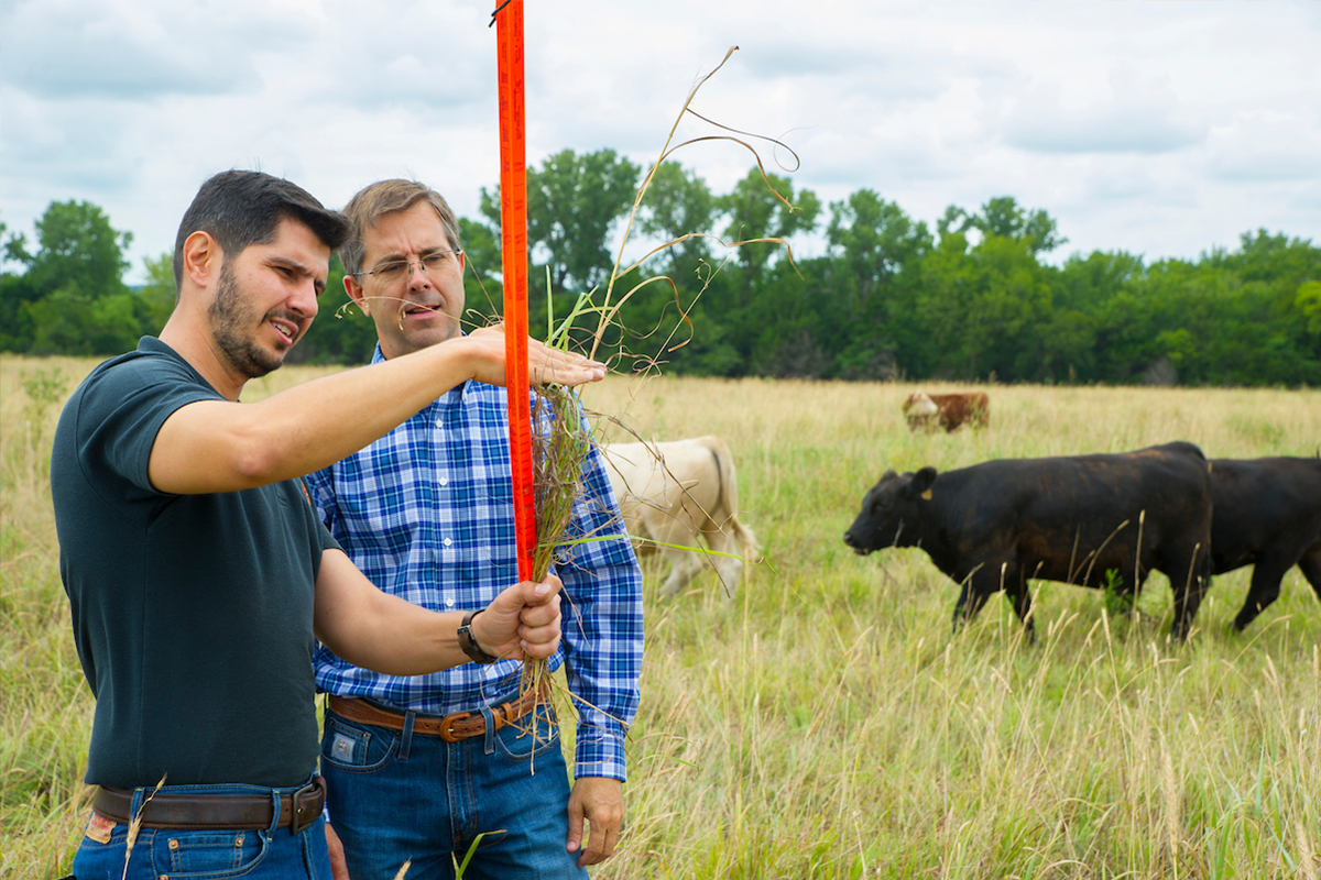 Faculty and staff in field