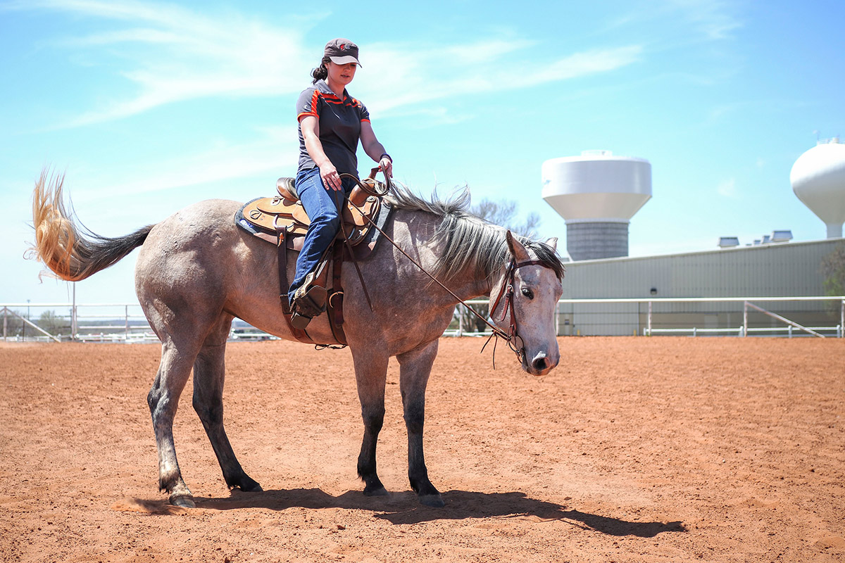 Herd manager on horse