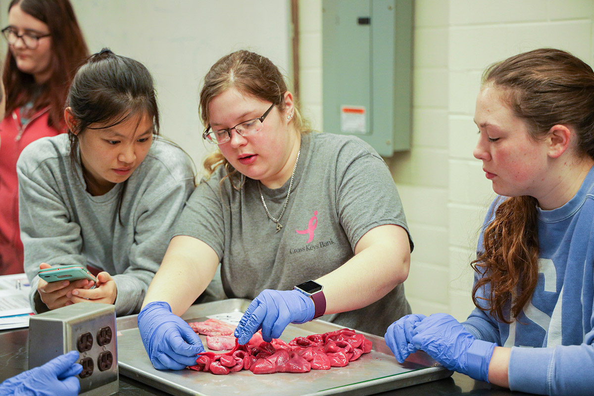 Students in lab class