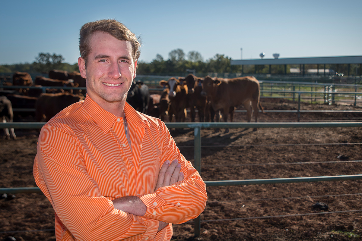 Animal science student with cattle
