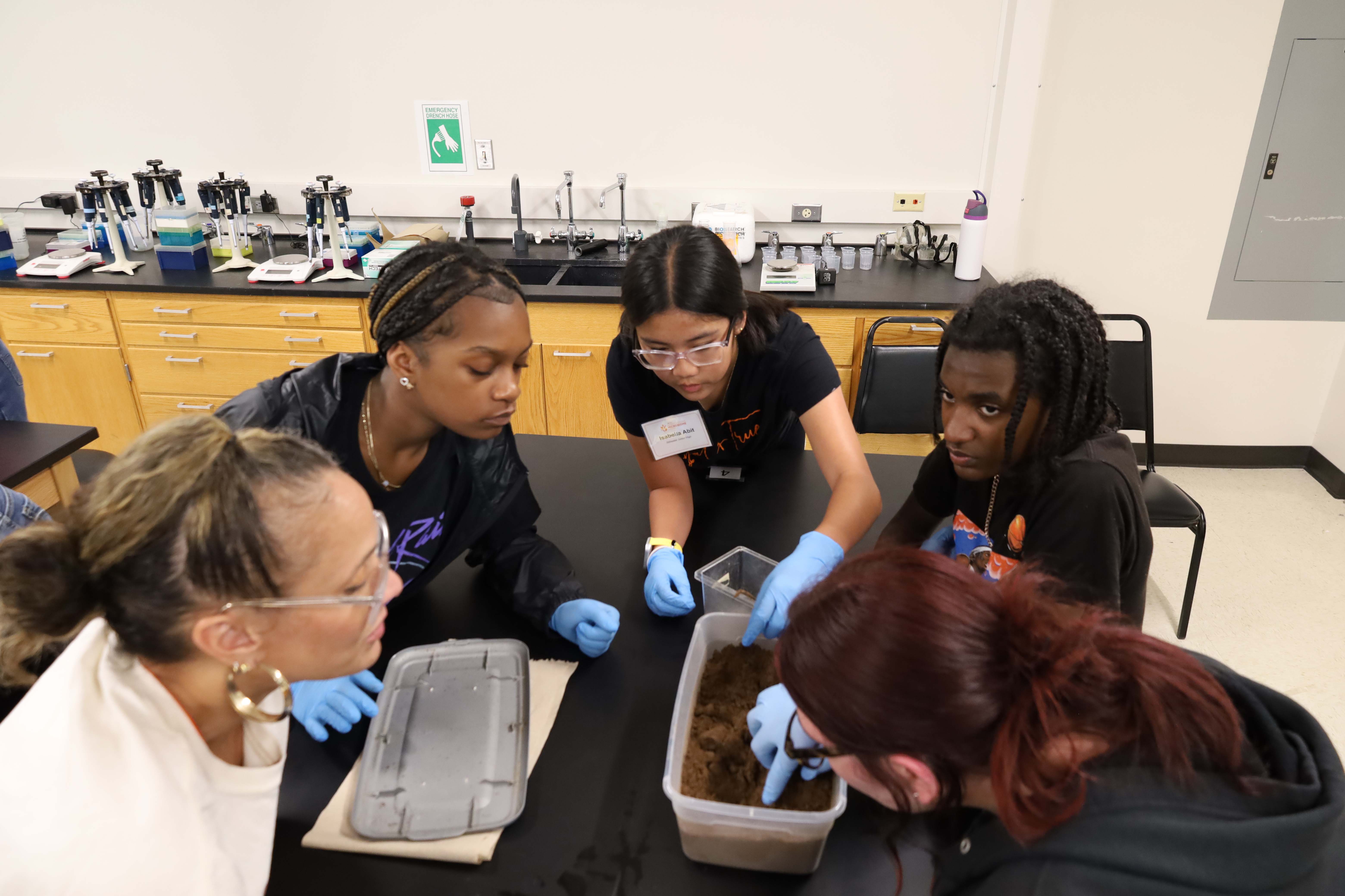 Students observing Burying Beetle