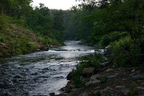 Water flowing through a stream in the forest