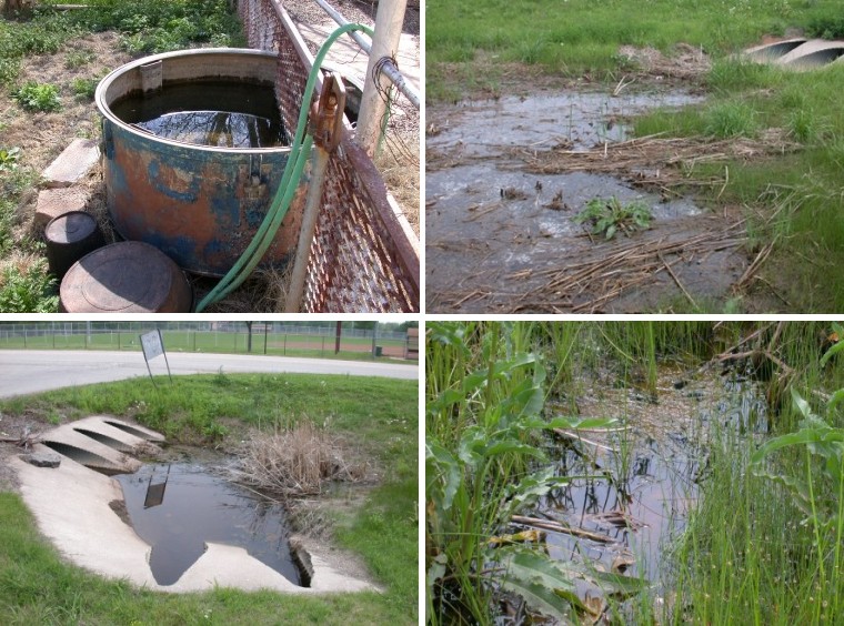 Habitats mosquitoes are drawn to Habitats mosquitoes are drawn to