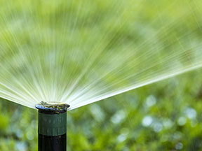 irrigation ThinkWater conserving our natural resources through sustainable practices.