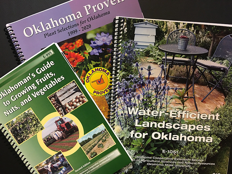 publications and programs Departmental Publications and Programs