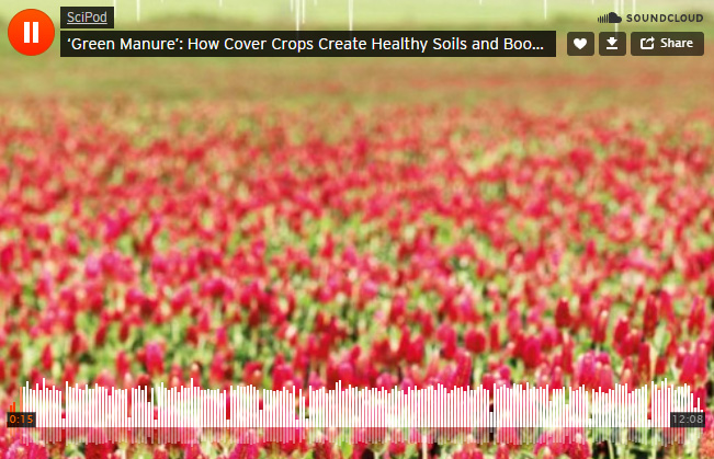SciPod How cover crops create healthy soils and boost crop yields