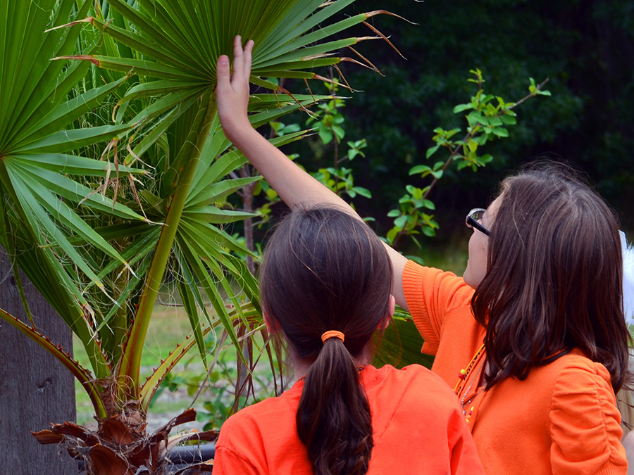 youth and gardening Two youth discovering the various textures and aromas of different ornament plants.
