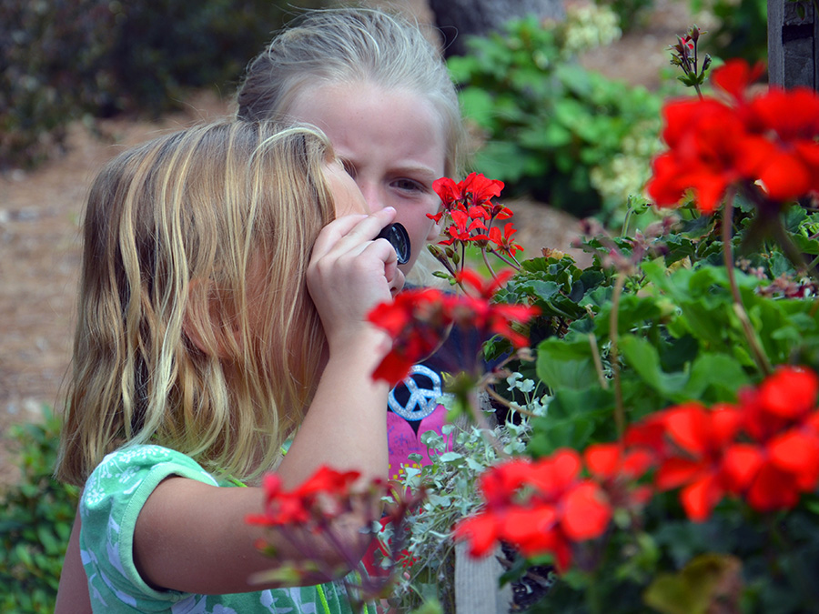 youth and plants Two young girls looking through a magnifying glass and discovering the small insects on the geraniums.