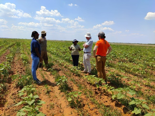 in the field in south africa