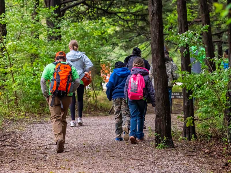 A group of children walking on a trial through a forest.