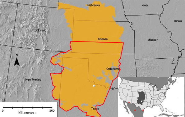 A close up of the U.S map, specifically of Oklahoma, Kansan, Nebraska and Texas that is greyed out as a yellow blotch with a red outline covers over half of Oklahoma and some of Texas.