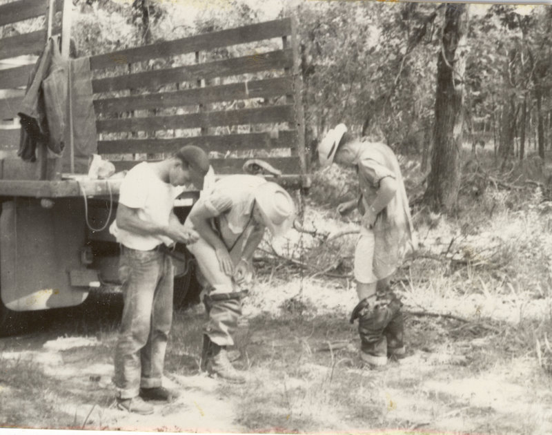 Students are checking their clothes and themselves near a truck bed in the forest.