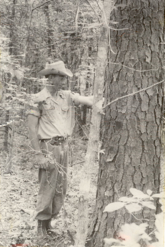 A man is holding a rope around a tree trunk.