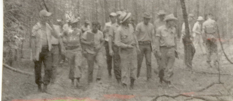 The camp group is walking through the forest looking around as they walk.