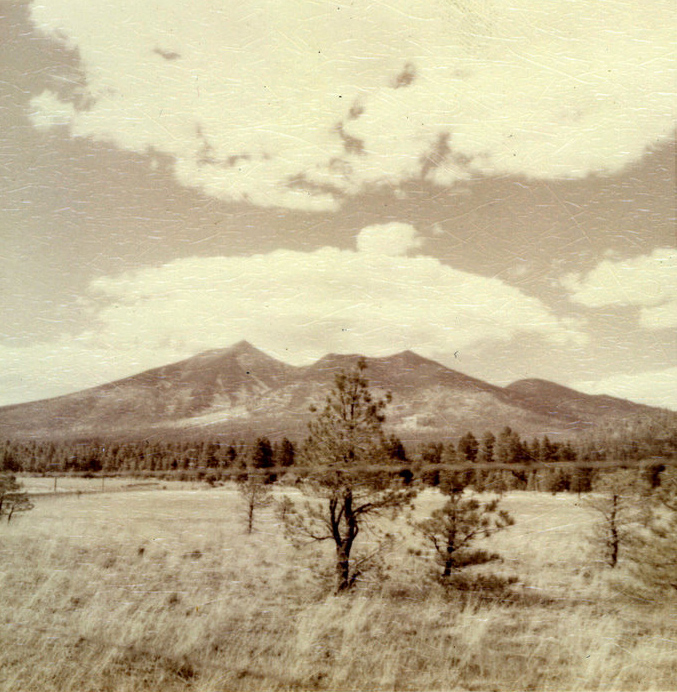 A grassy field stretches out with a mountain in the distance.
