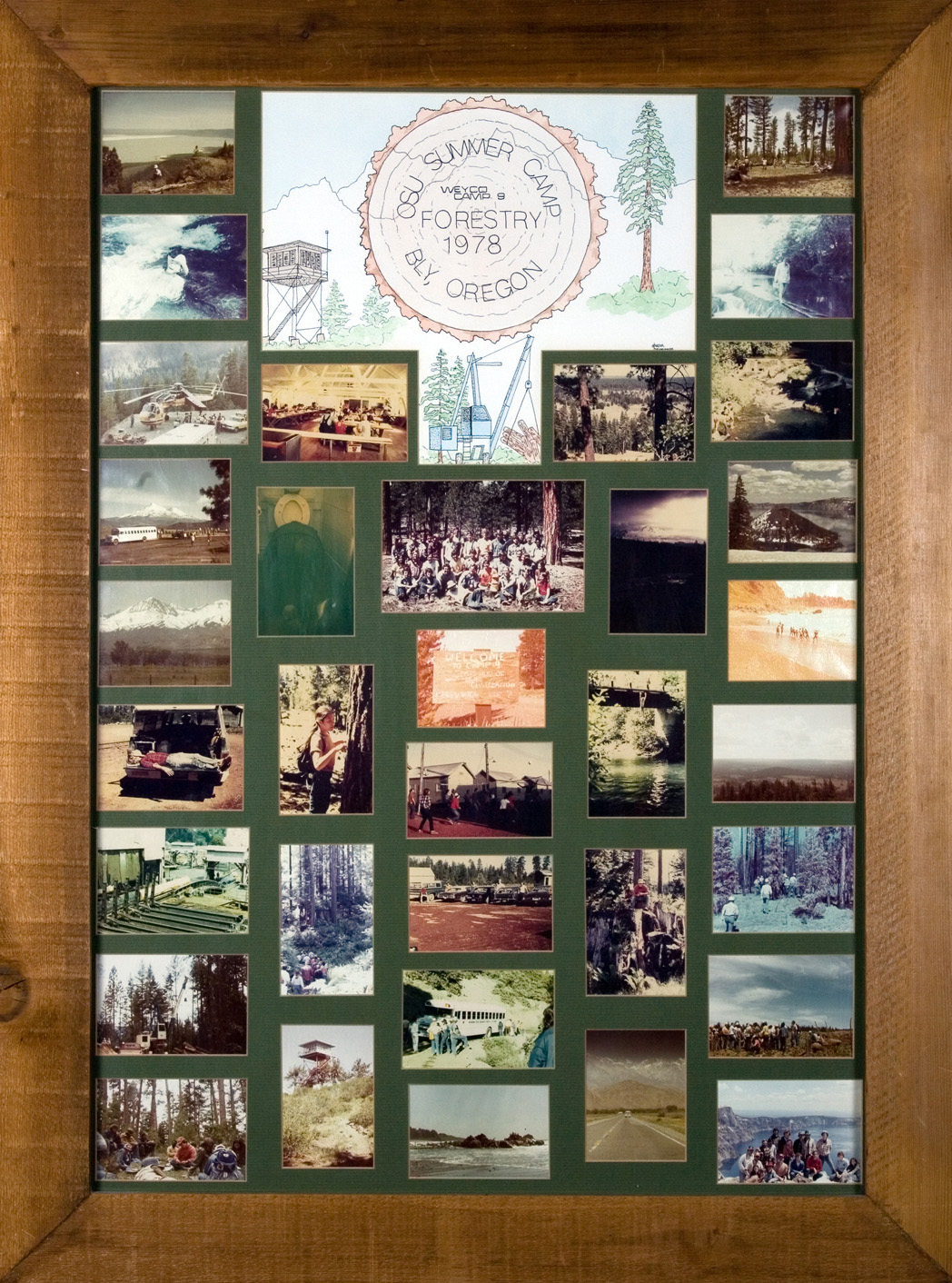Collage board displaying photos from Forestry Camp 1978.