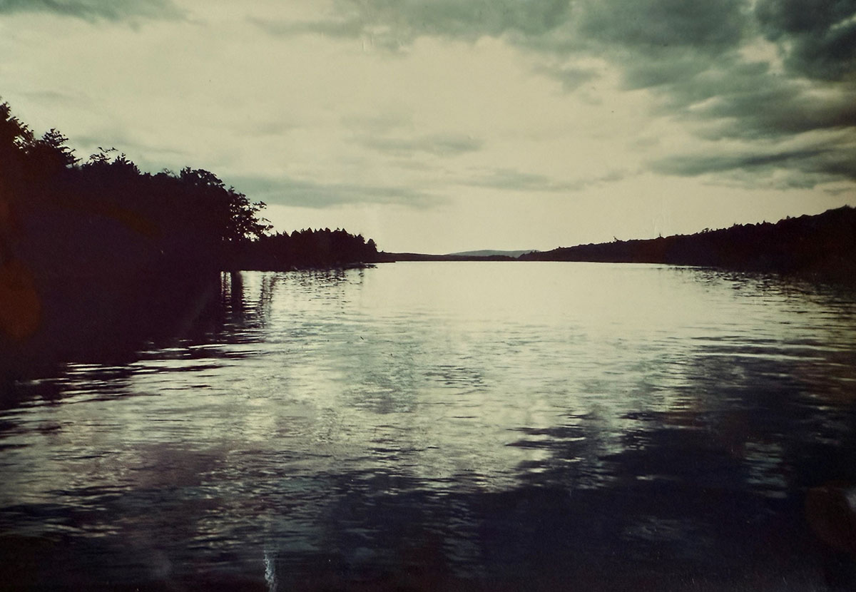 A river with trees on both sides.