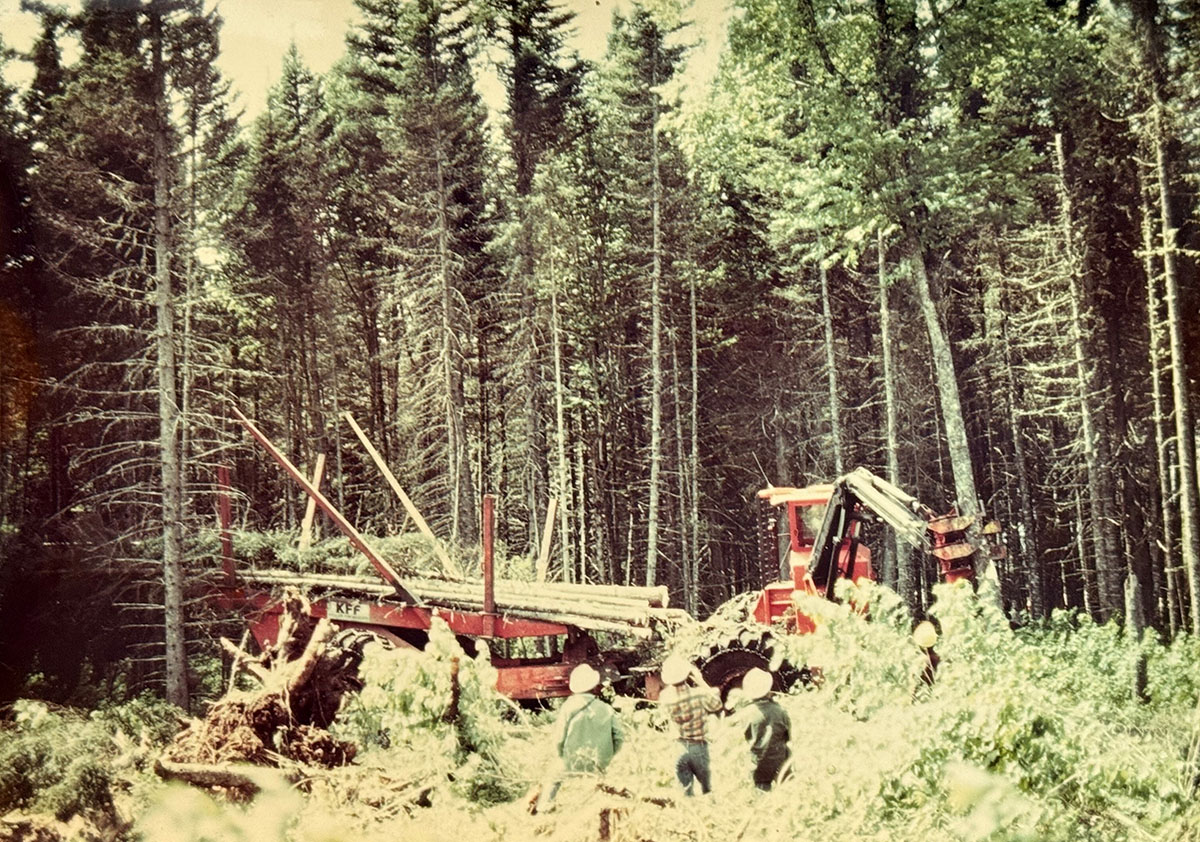 Two big red machines working in a forest cutting trees with three people watching.