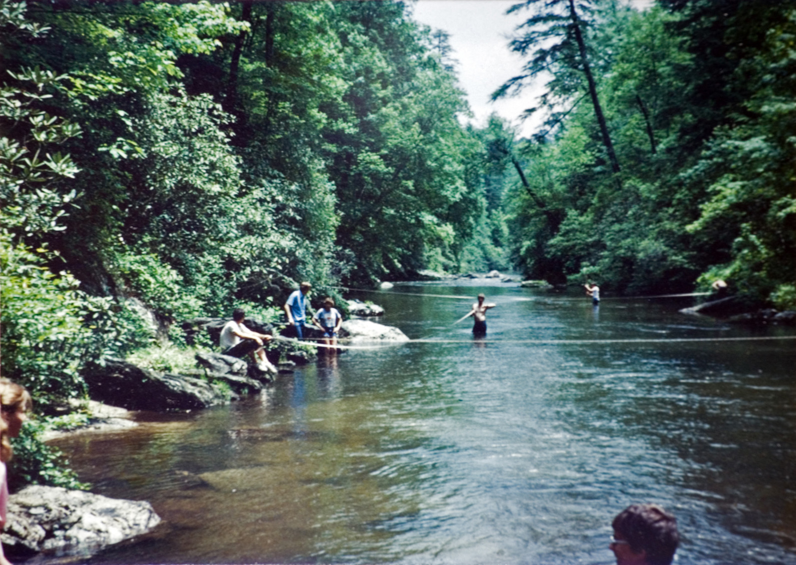Multiple people in a stream surrounded by trees.
