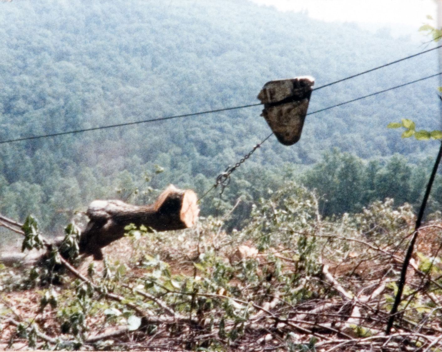 A few wires holding up a tree trunk at a jobsite in the forest.