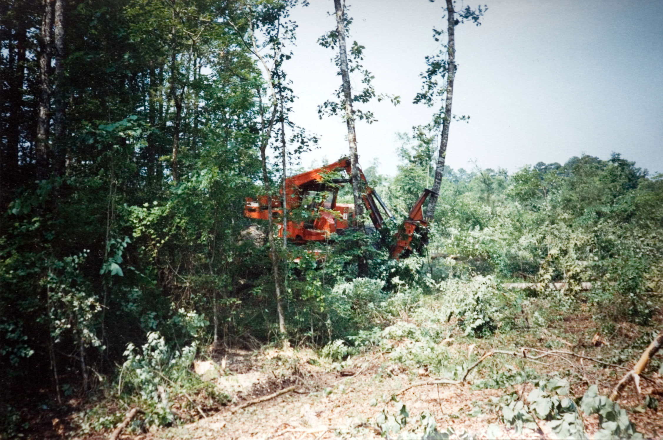 A view of orange heavey machinery forestry equipment in action.