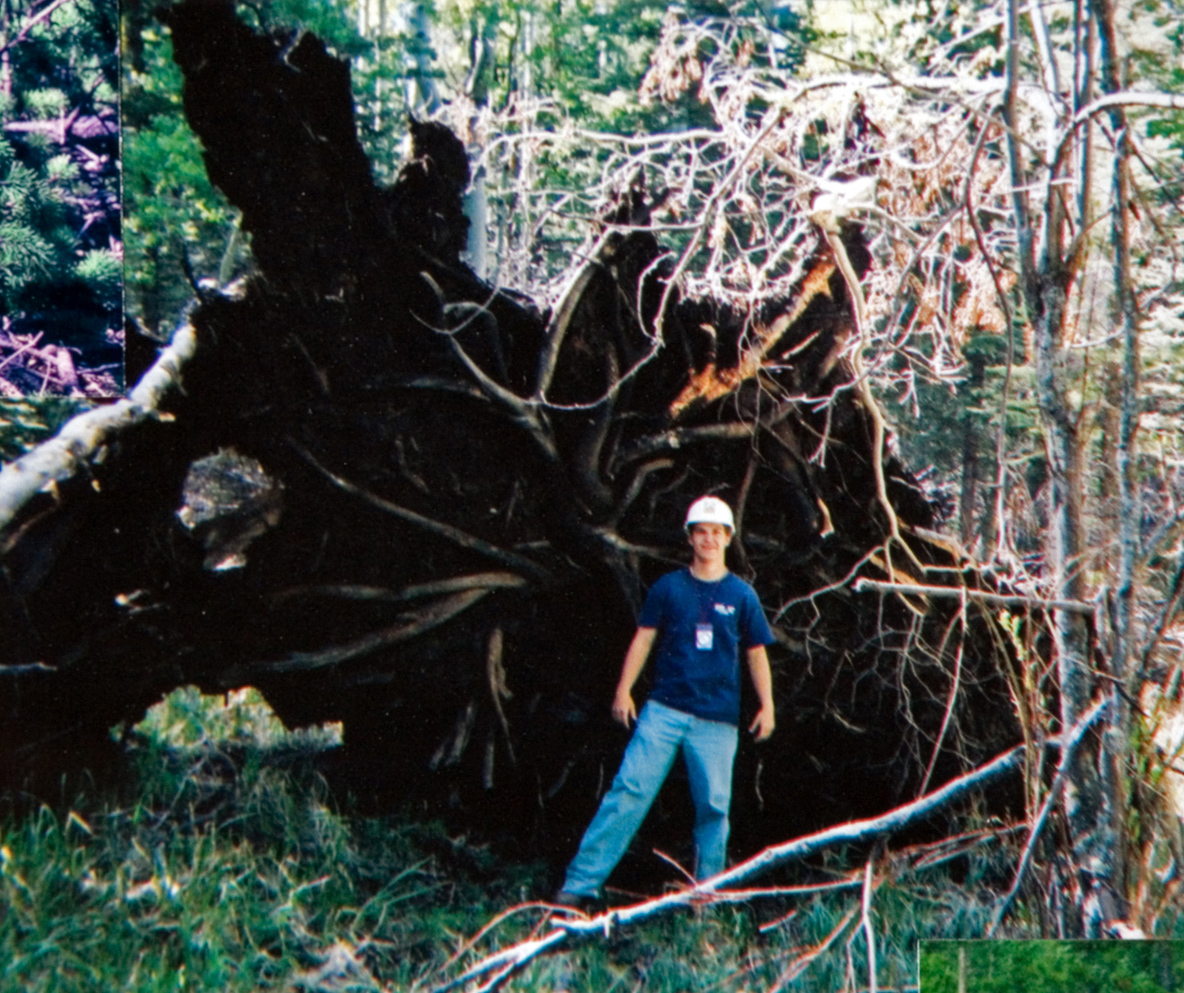A student in a blue shirt and a white hardhat standing in front of a uprooted tree.