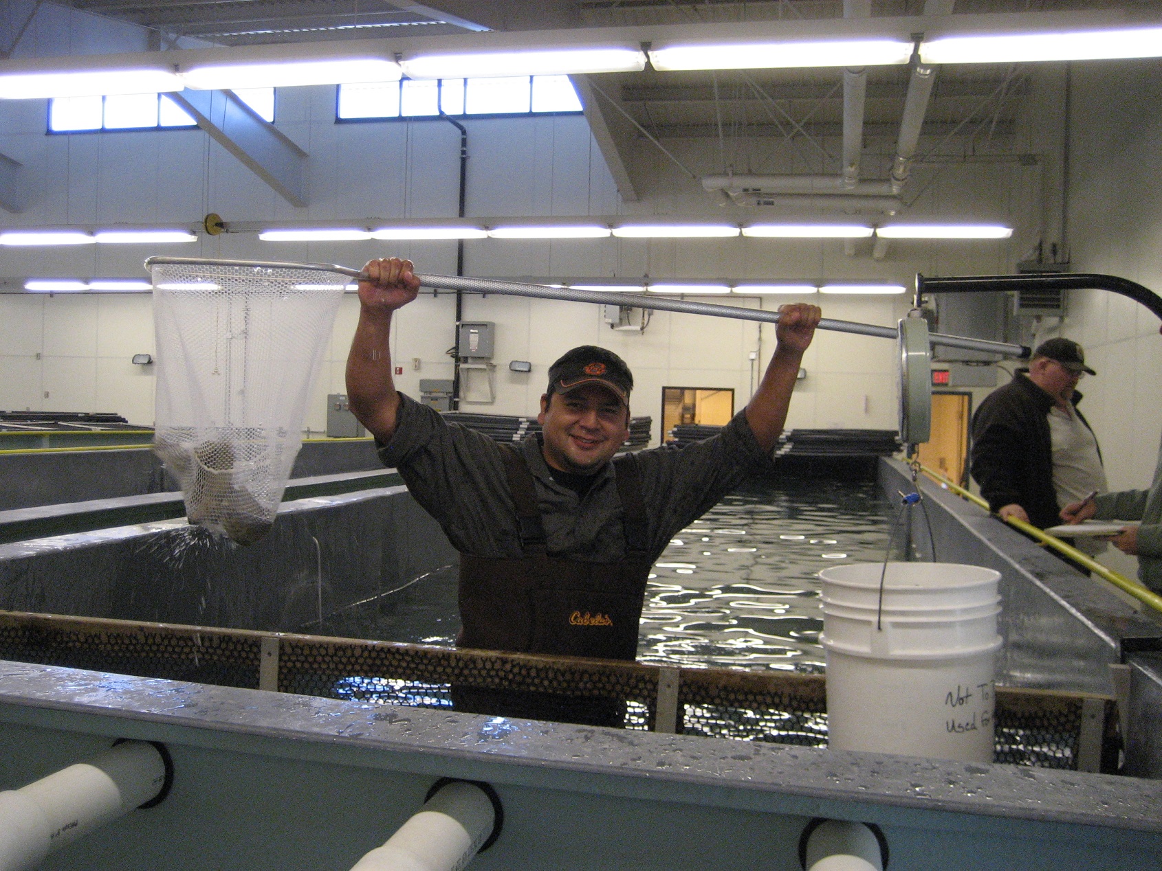 A student in an indoor tank with waders on, holding a fishnet with fish in it up over his head.