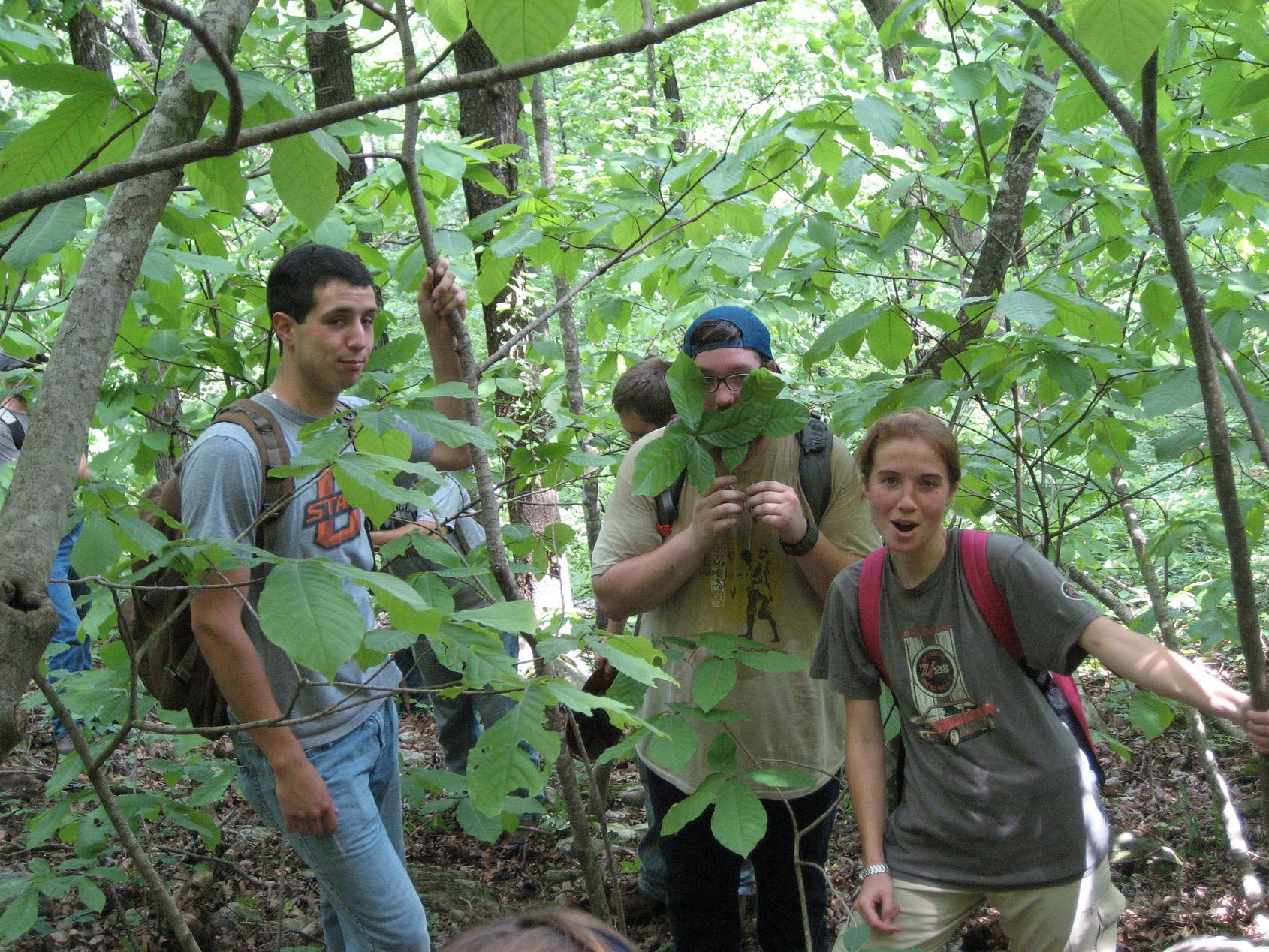 A group of students posing for a photo while walking through the woods.