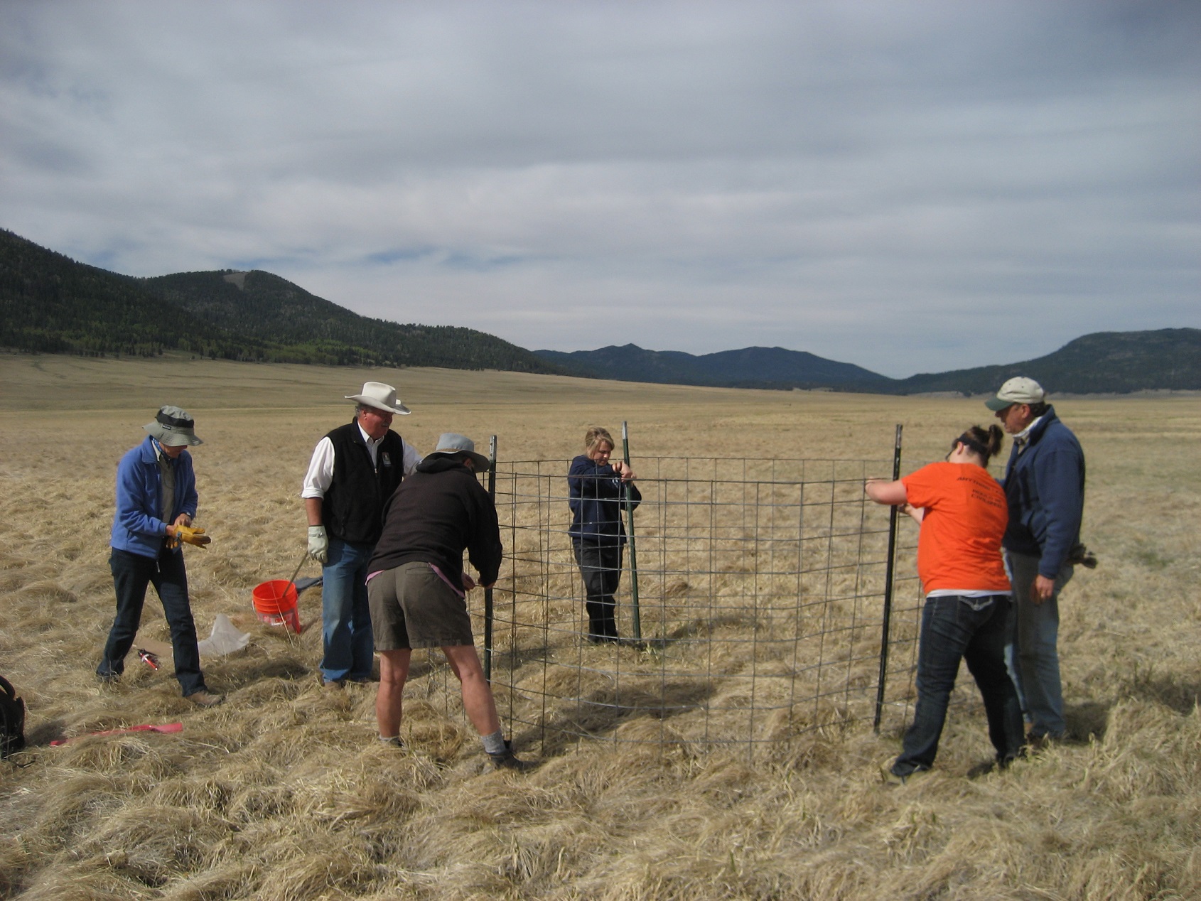 A group of participants putting a fence up in the middle of a valley.