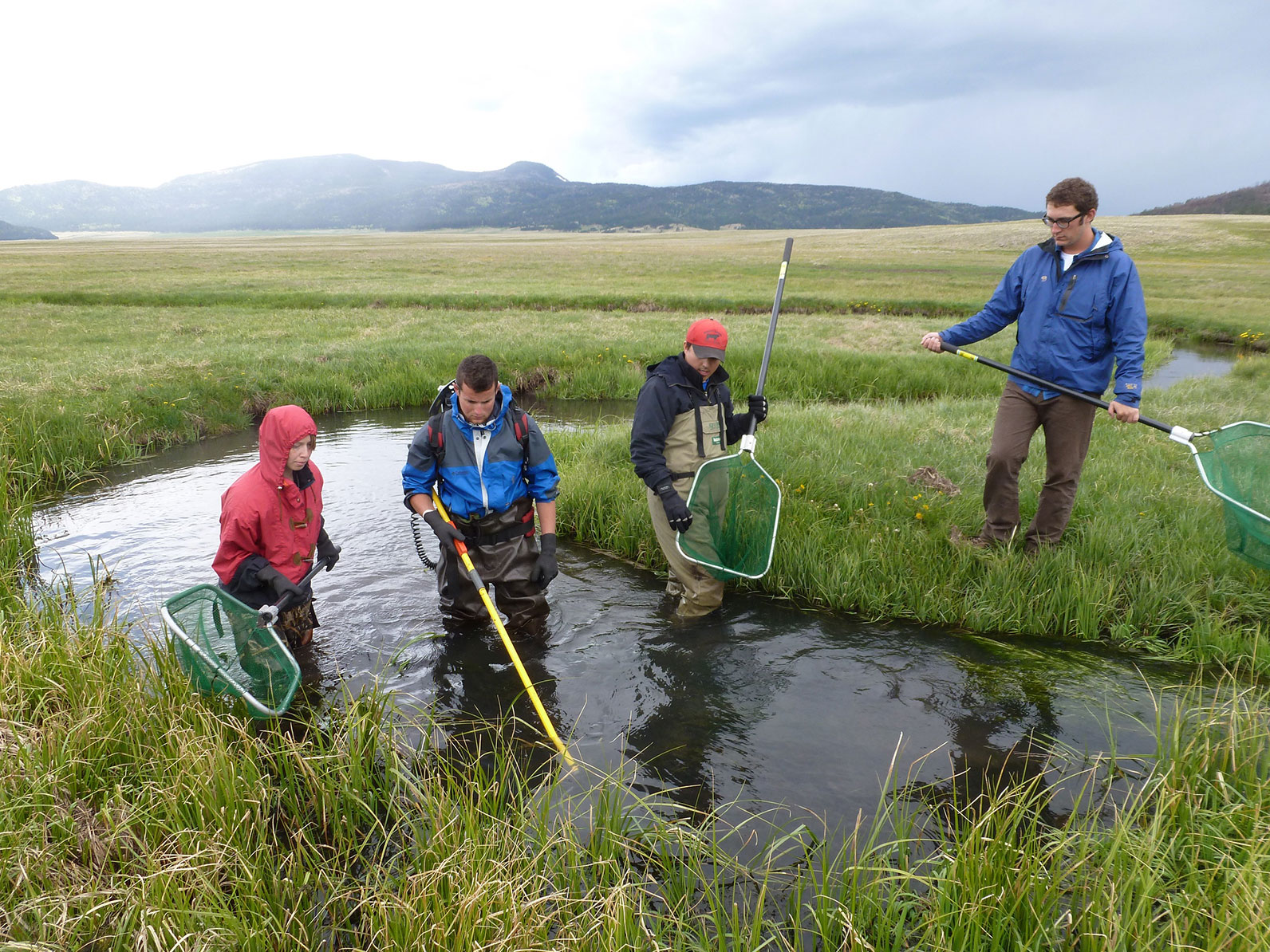 Participants in waders are going through a stream with fishing nets.