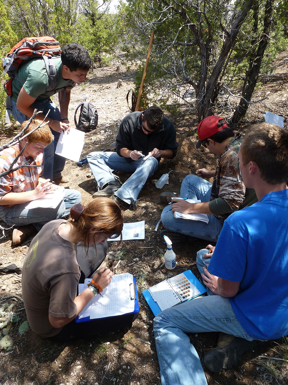 A group of students sitting around on the ground with clipboards in the woods collecting information.