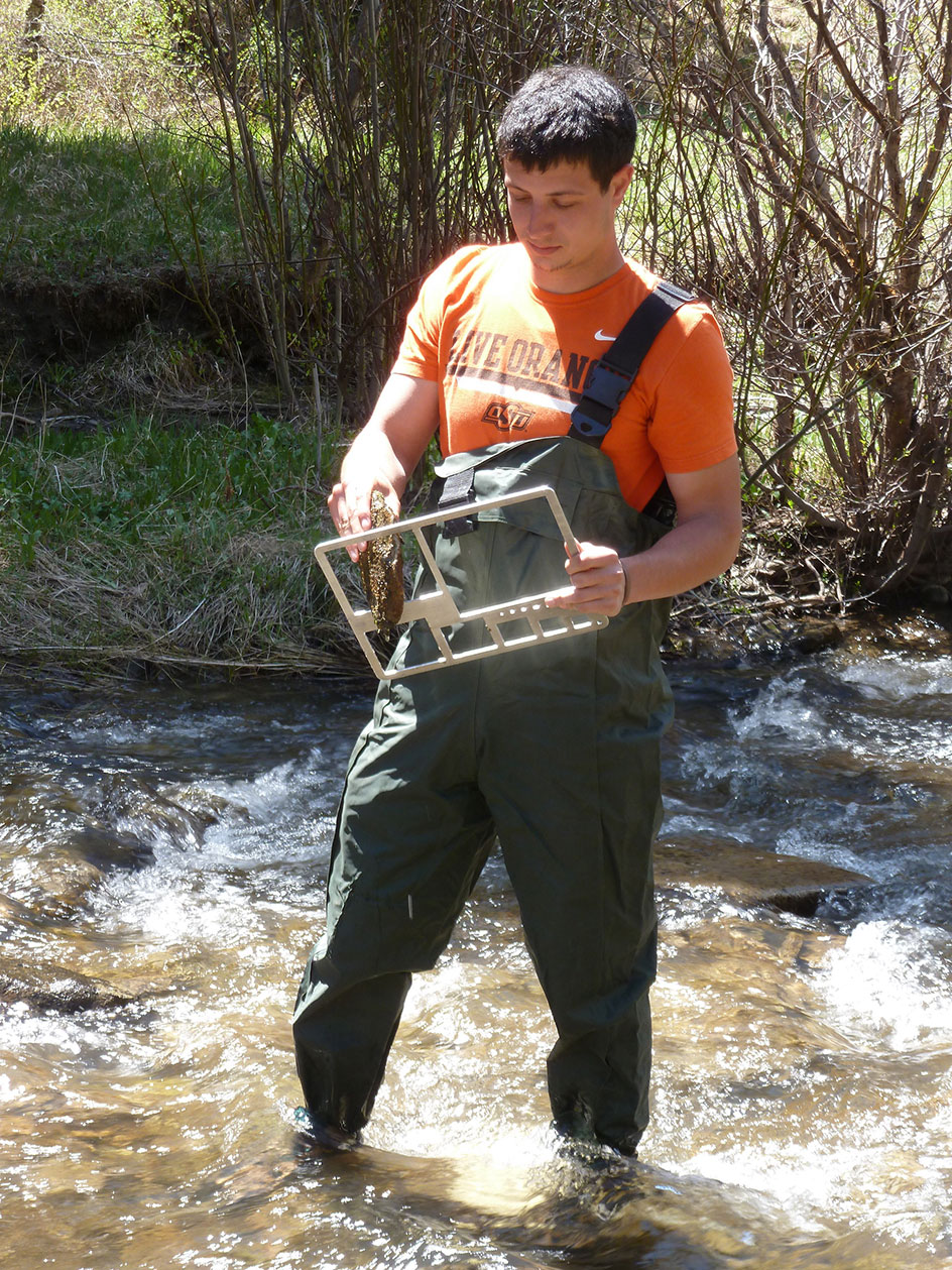 A student standing in a creek with waders on collecting information.