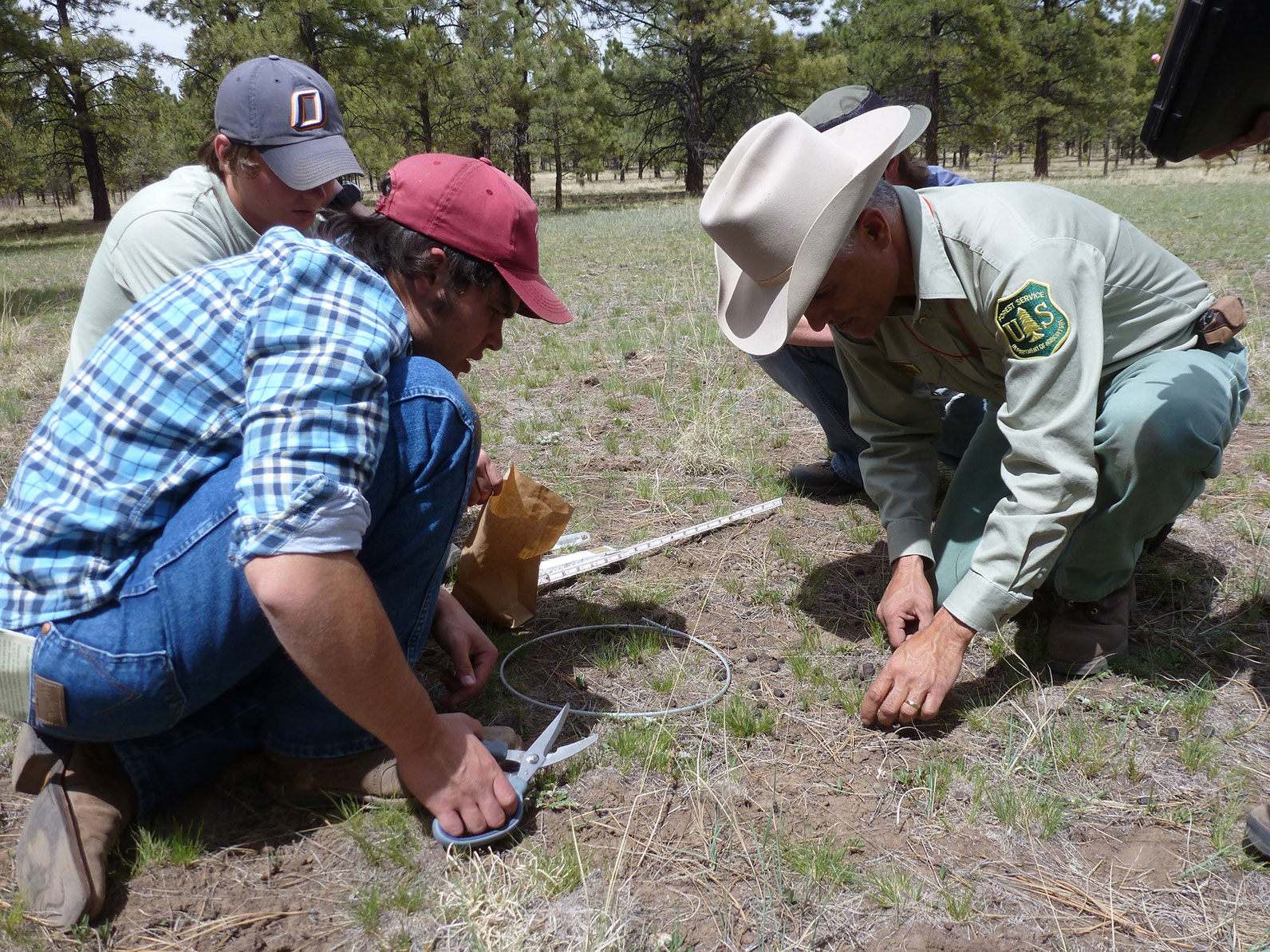 Three individuals working together in a field collecting information.