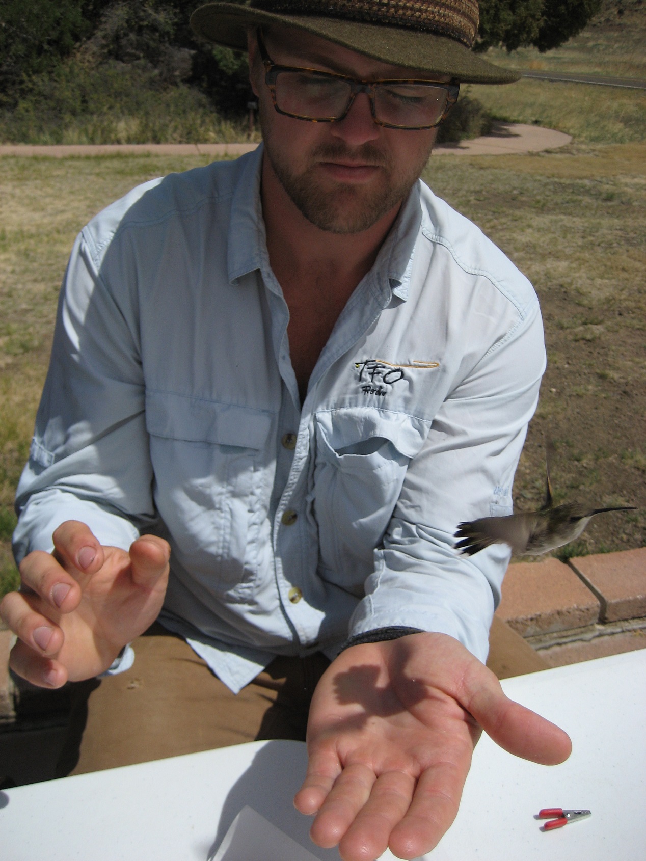 A participant sitting at a table releasing a bird out of his hand.