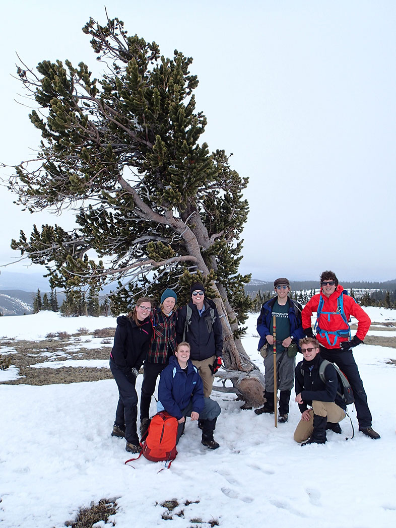 A group of seven people standing for a photo in front of a tree leaning over in the snow.