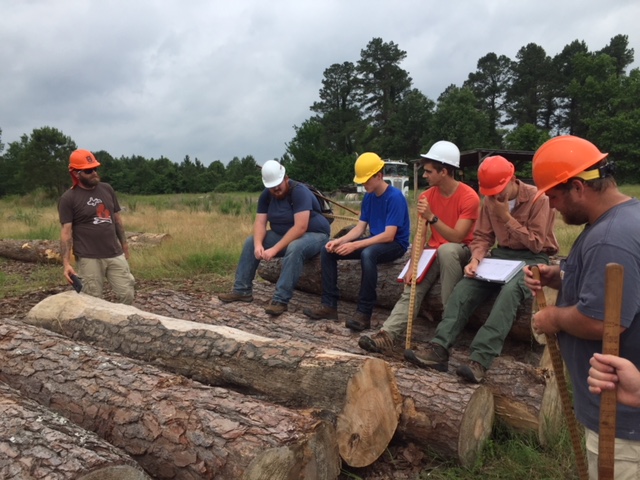 A group of six people in hardhats around large wood logs.