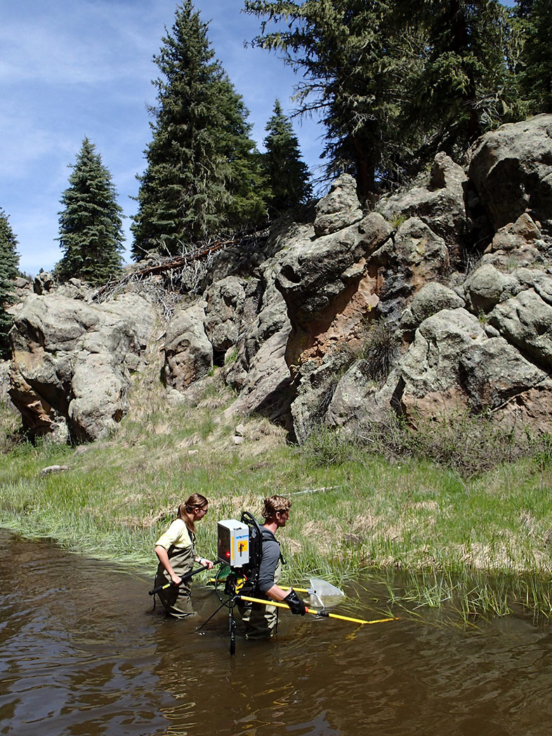 Two students fishing and sifting through a stream with fishing nets.