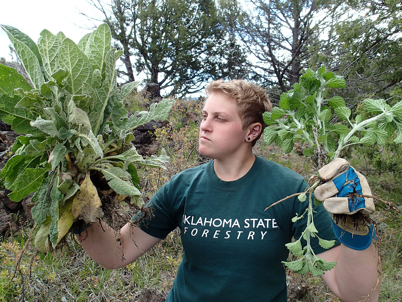 A participant holding plants with gloves on.