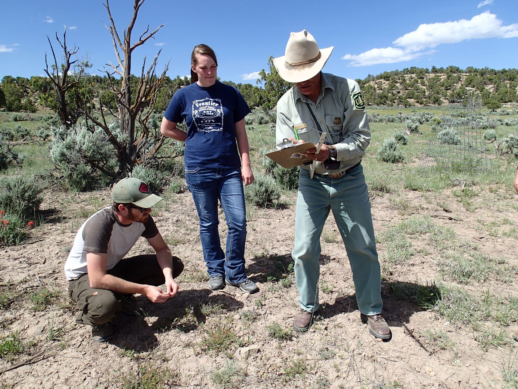 Three people taking notes standing on a valley.
