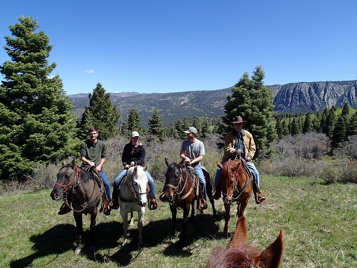 A group photo of four people on horses in a mountain range.