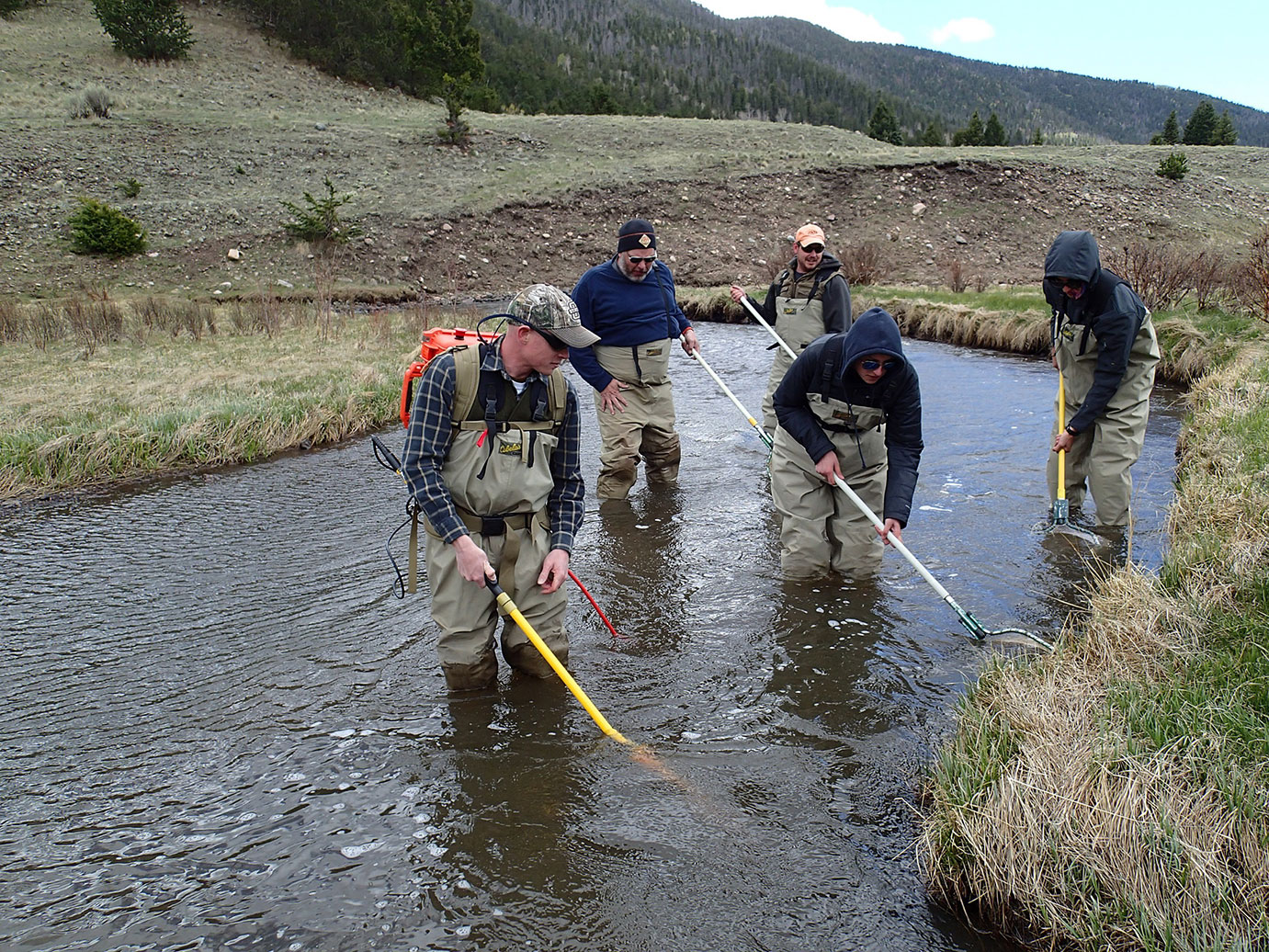 Five individuals standing in a stream in a valley.