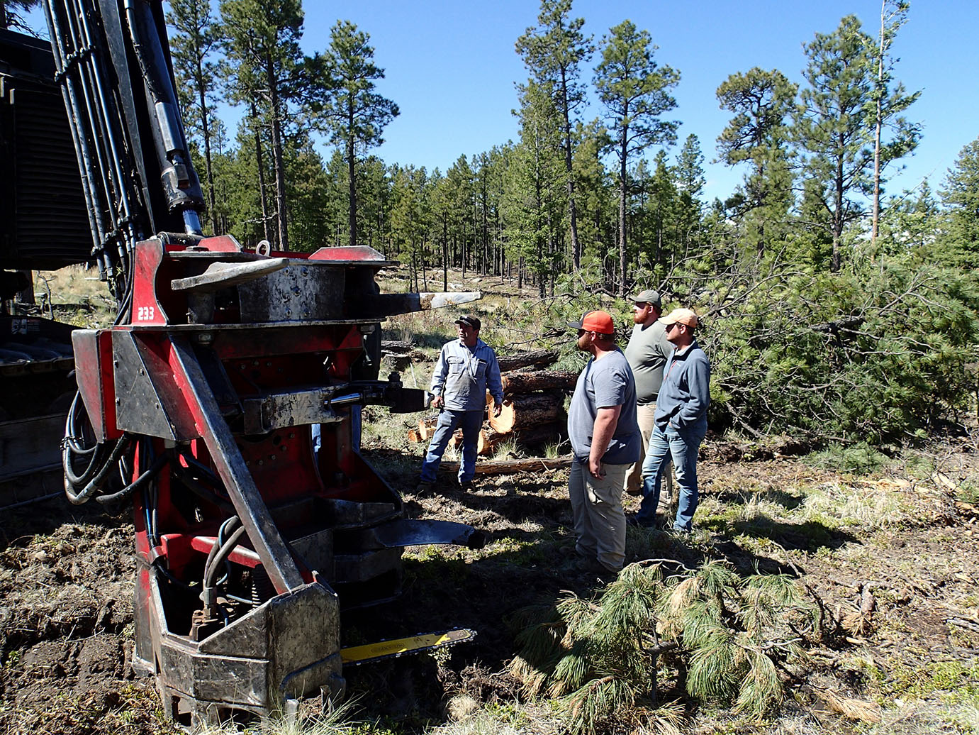 Four people working with heavey machinery out in a forest.