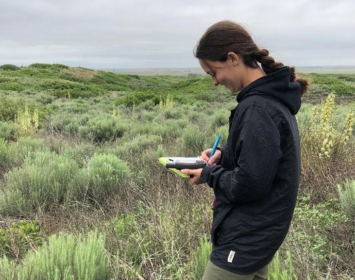 Woman taking notes outside. Woman taking notes outside.