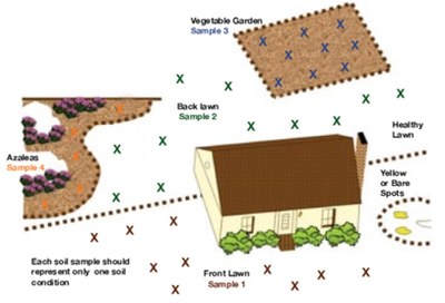 Diagram showing where you should sample. 