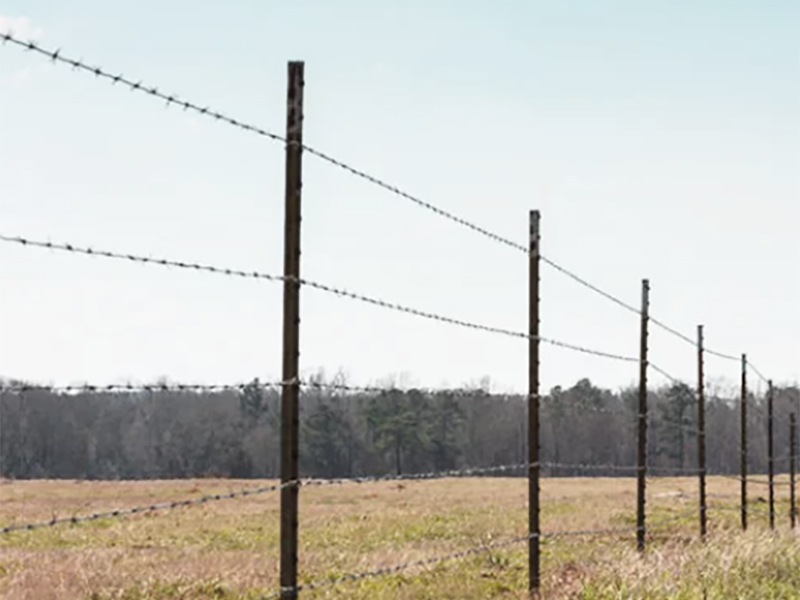 Standard barbed wired fence