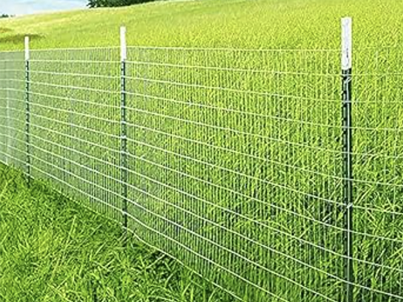 Woven wire fencing