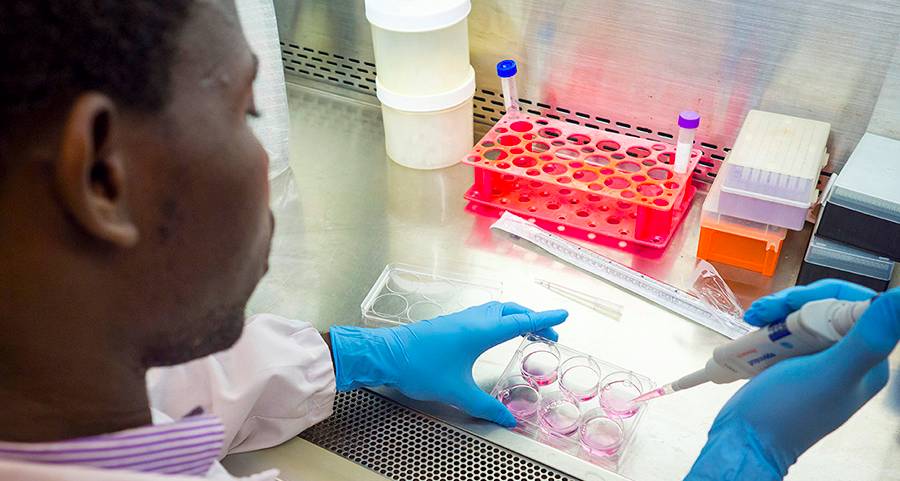Undergraduate student conducts research inside a lab.  Undergraduate student conducts research inside a lab.